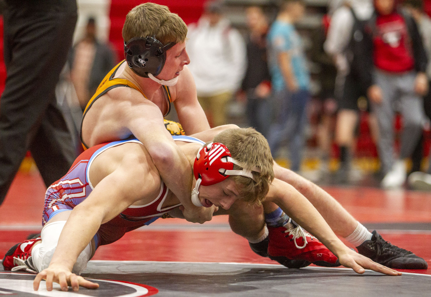 Gooding Grappler Duals